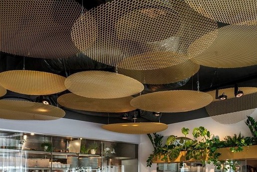 In the Spotlight: The Food