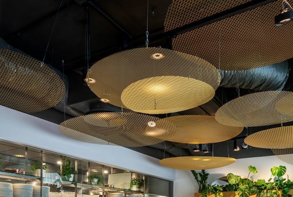 In the Spotlight: The Food